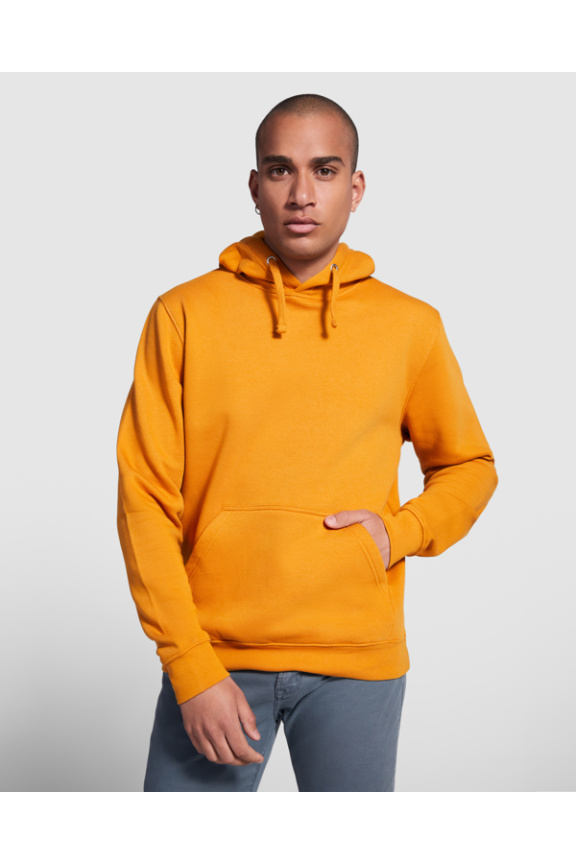 Unisex Classic Hooded Sweatshirt - Cozy & Stylish