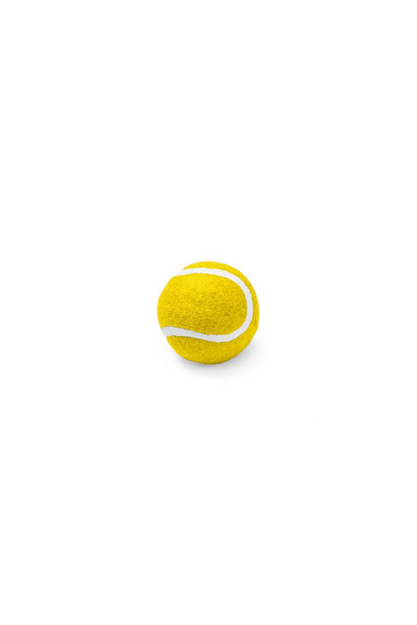Durable Pet Play Ball - Fun and Long-lasting