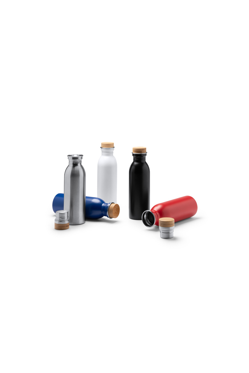 LEVU Eco-Friendly Stainless Steel Bottle 650 ml