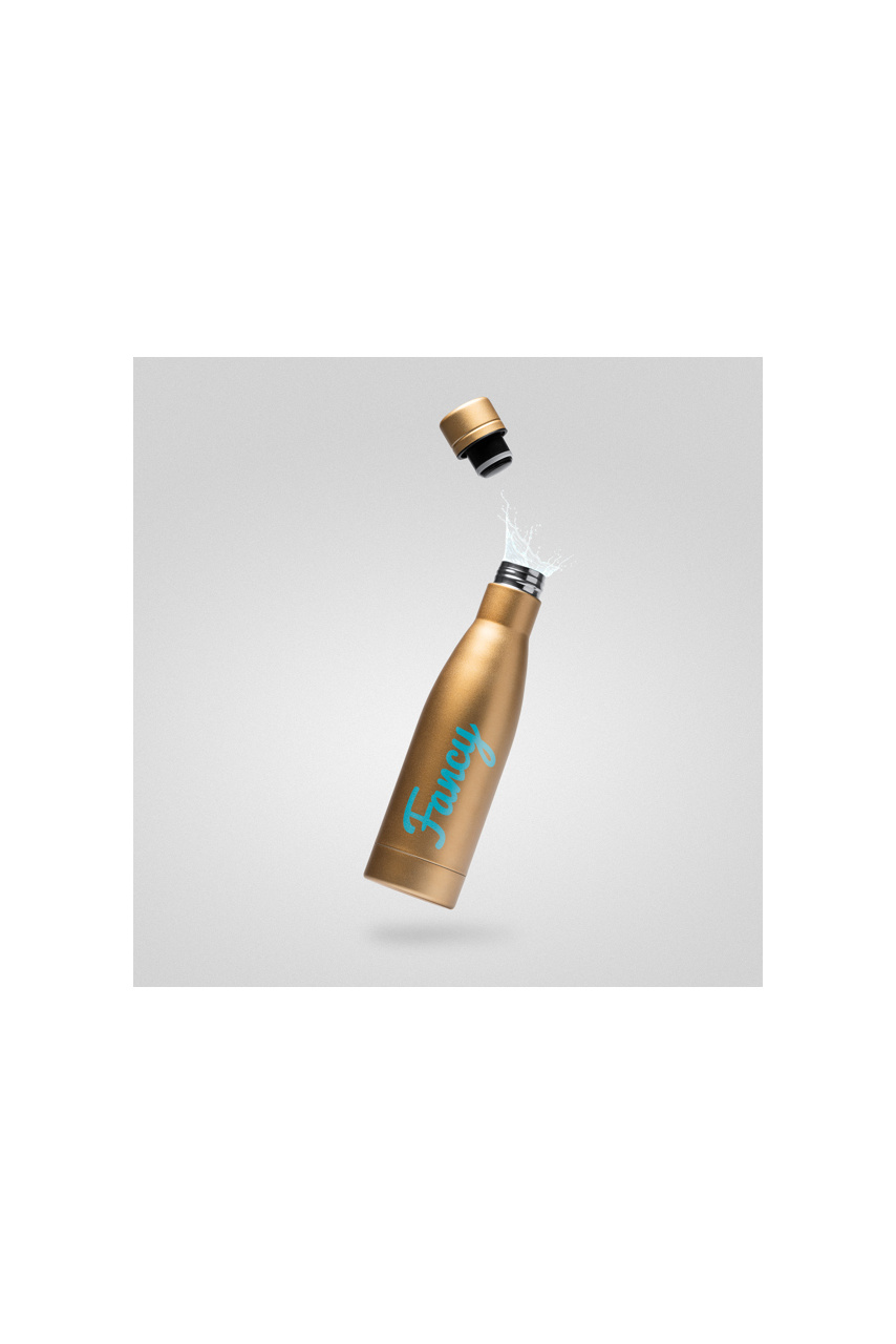 Elegant Stainless Steel Thermal Bottle