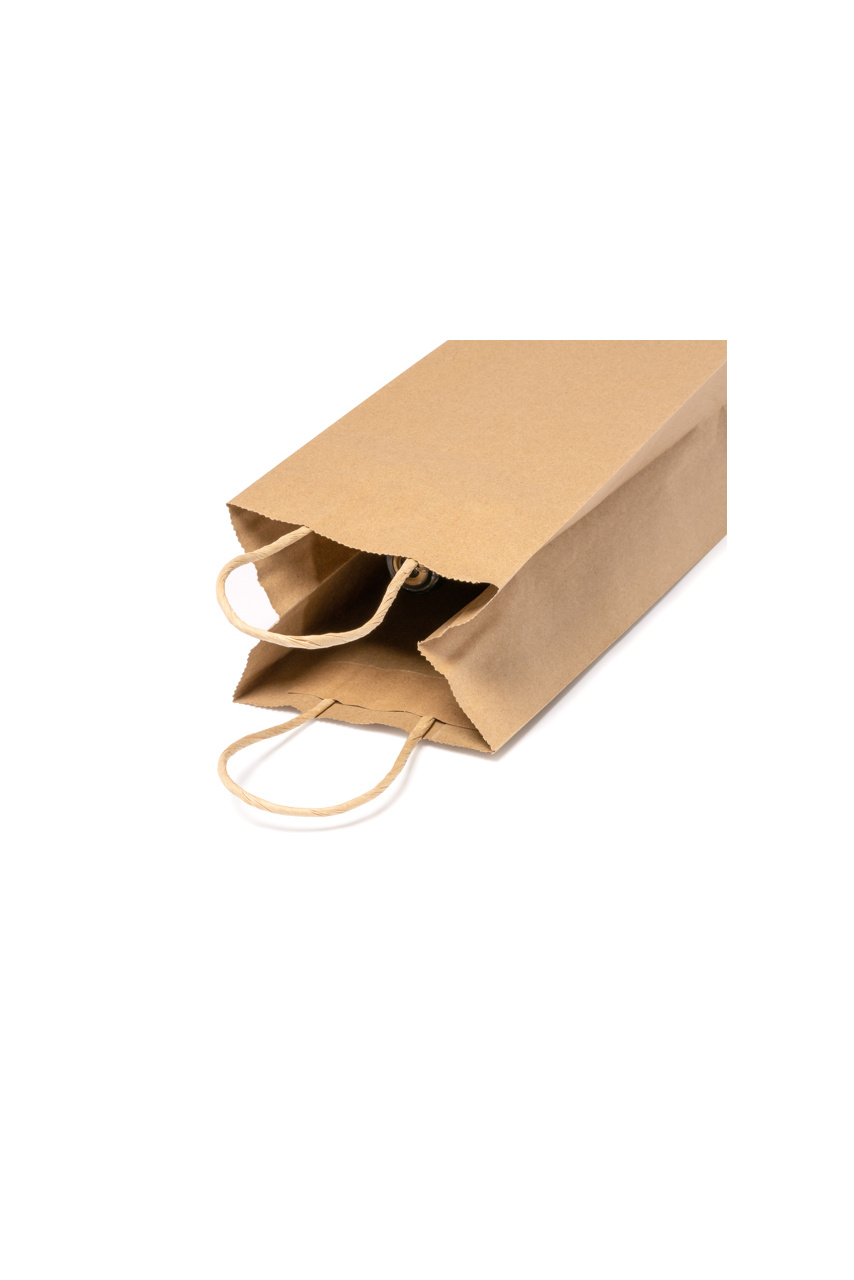 Geantă de hârtie PINUS, rezistență 100 gsm