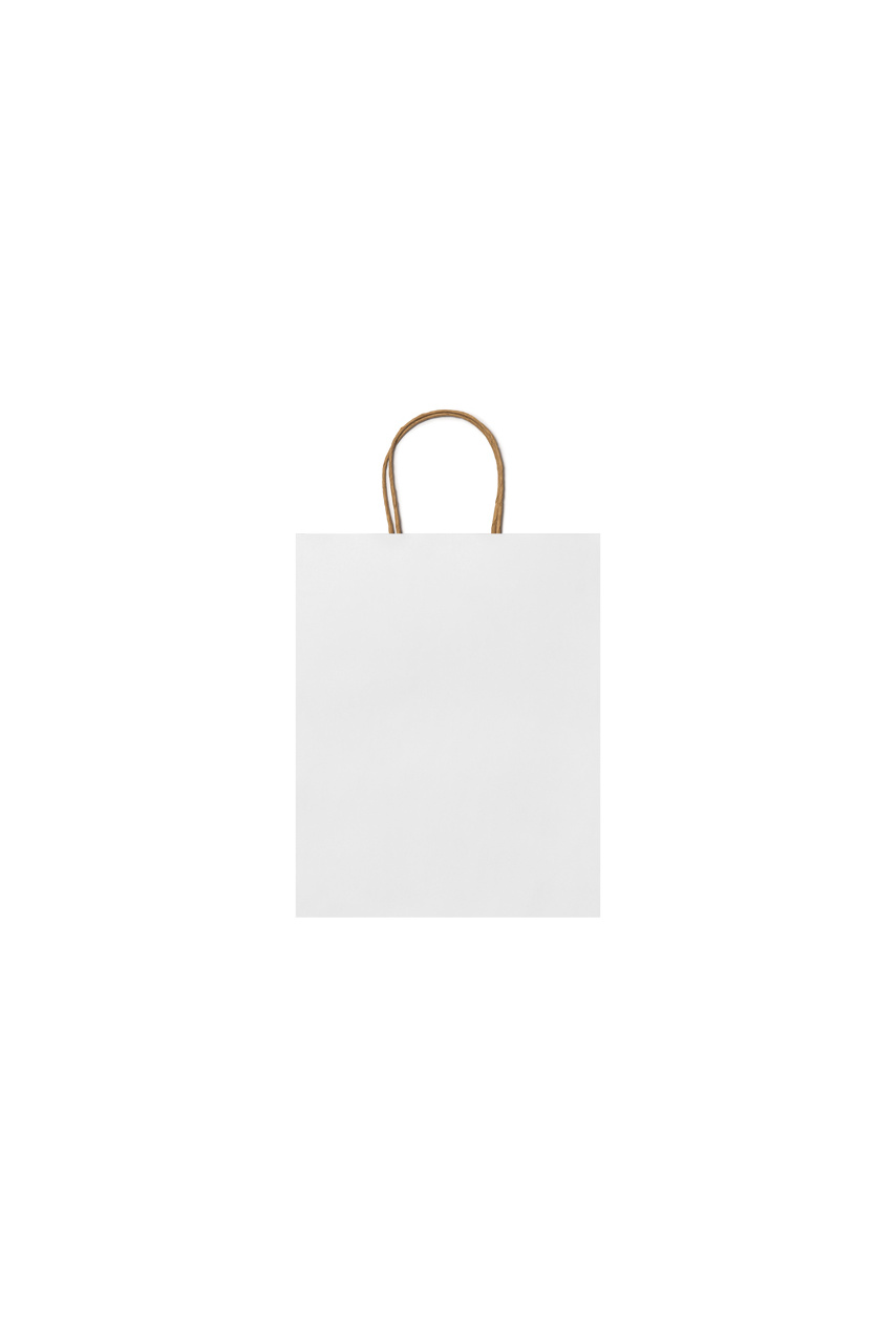 Natural Finish Paper Bag with Twisted Handles