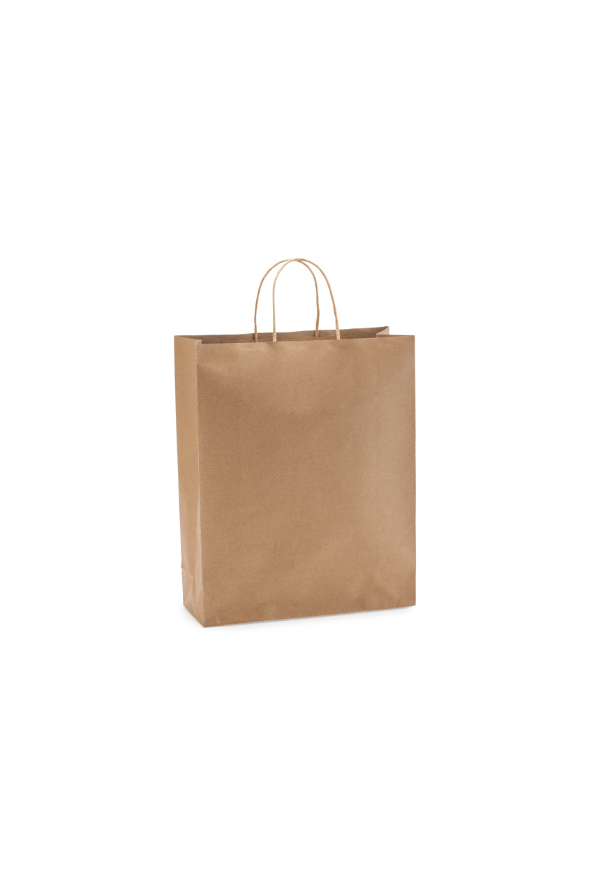 Natural Finish Paper Bag with Twisted Handles