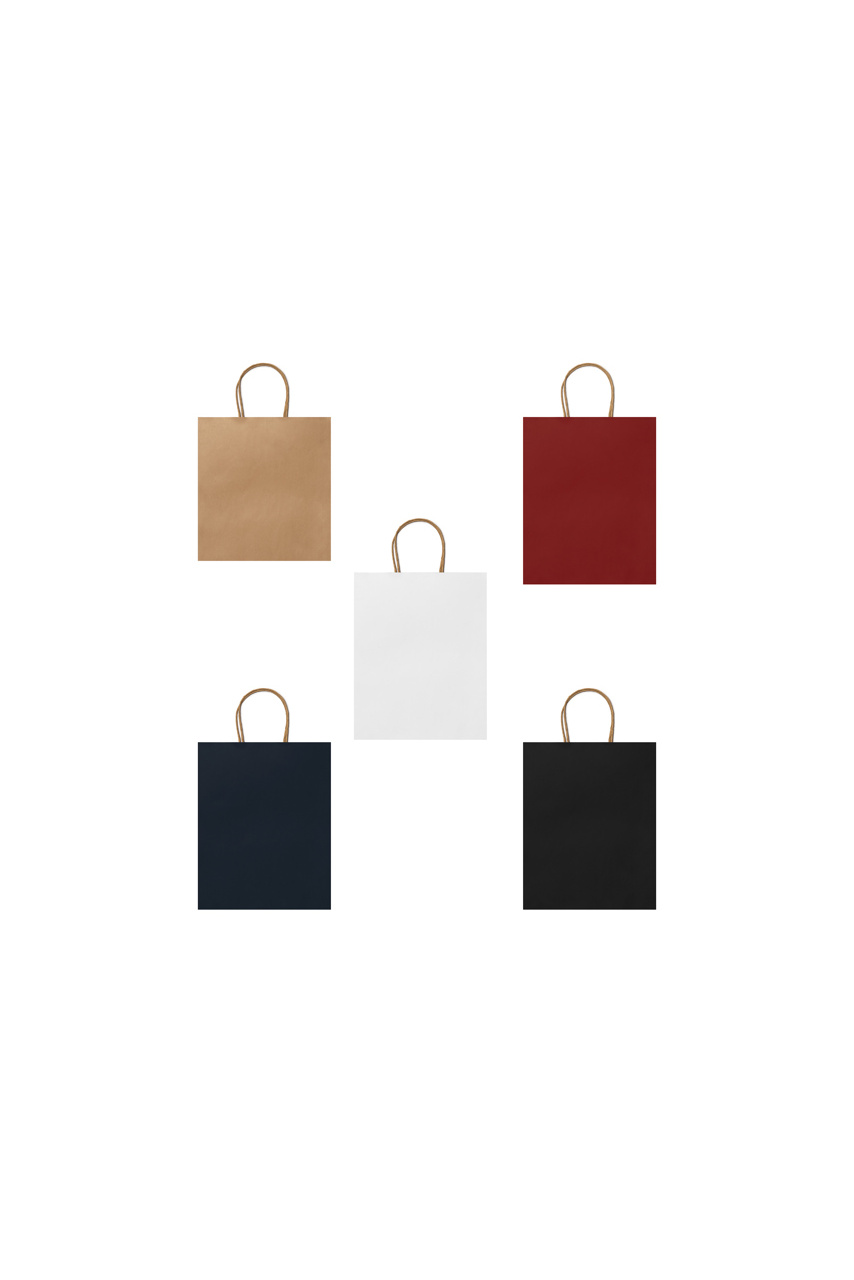 Natural Finish Paper Bag with Twisted Handles