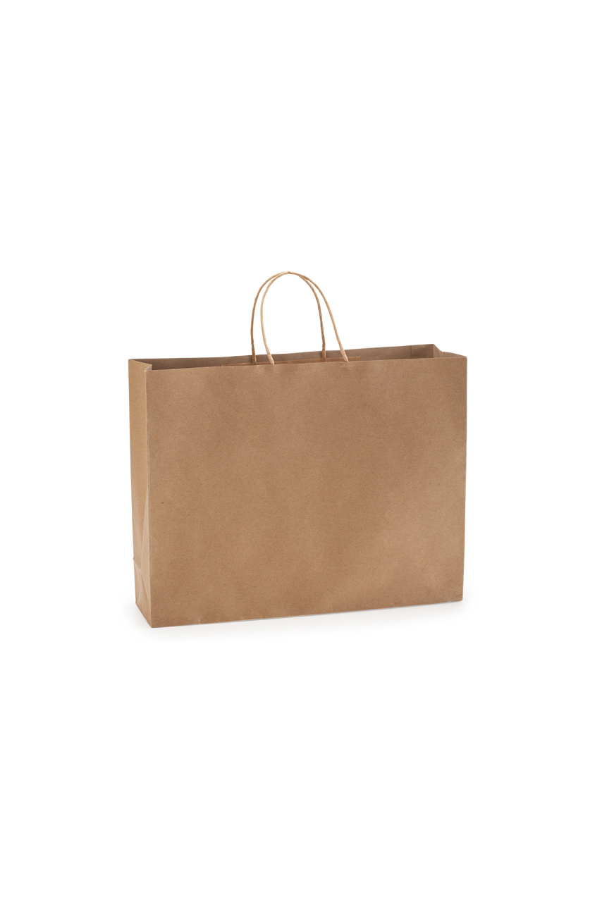 MAPLE Eco-Friendly Paper Bag - 110 gsm