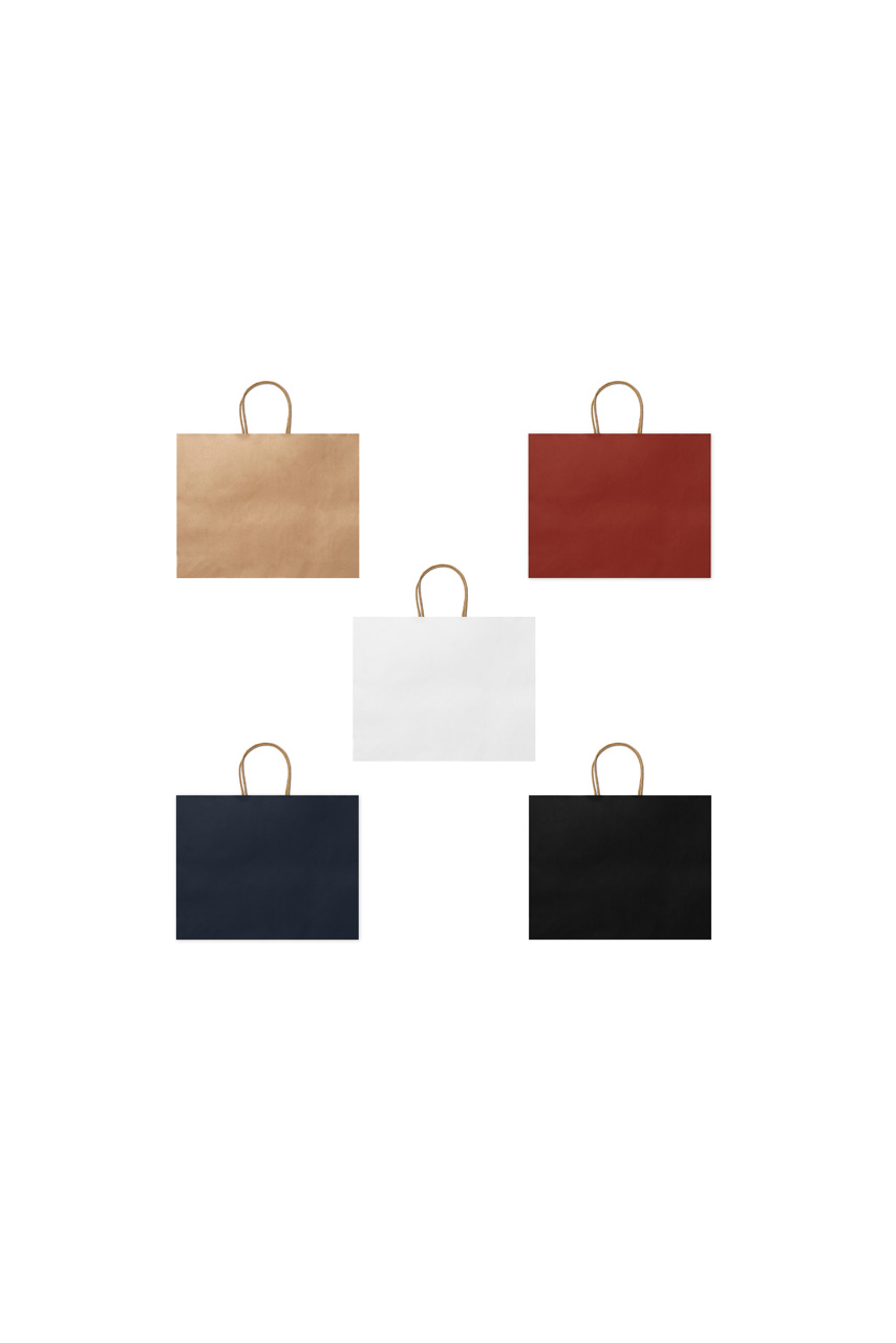 MAPLE Eco-Friendly Paper Bag - 110 gsm