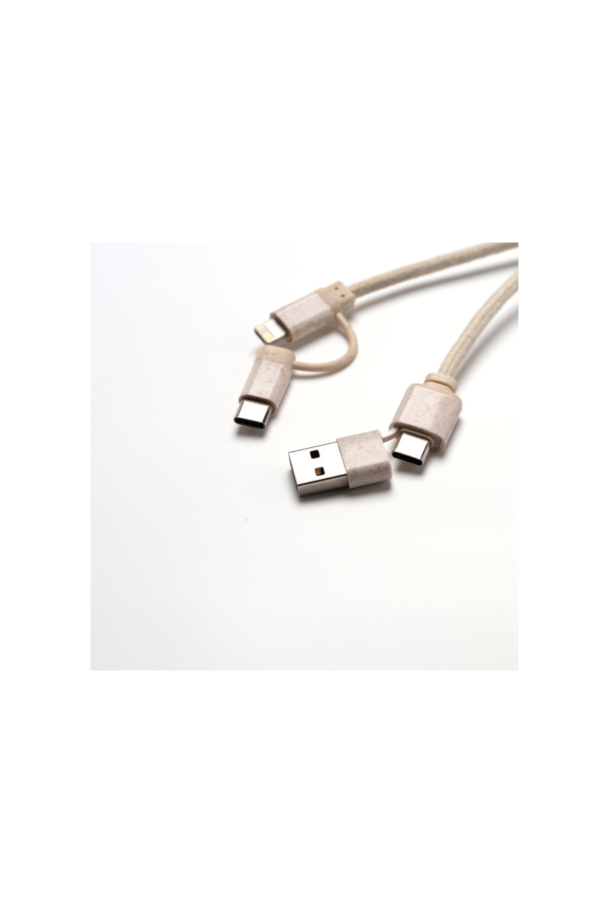 Eco-Friendly 4-in-1 Charging Cable with Carabiner