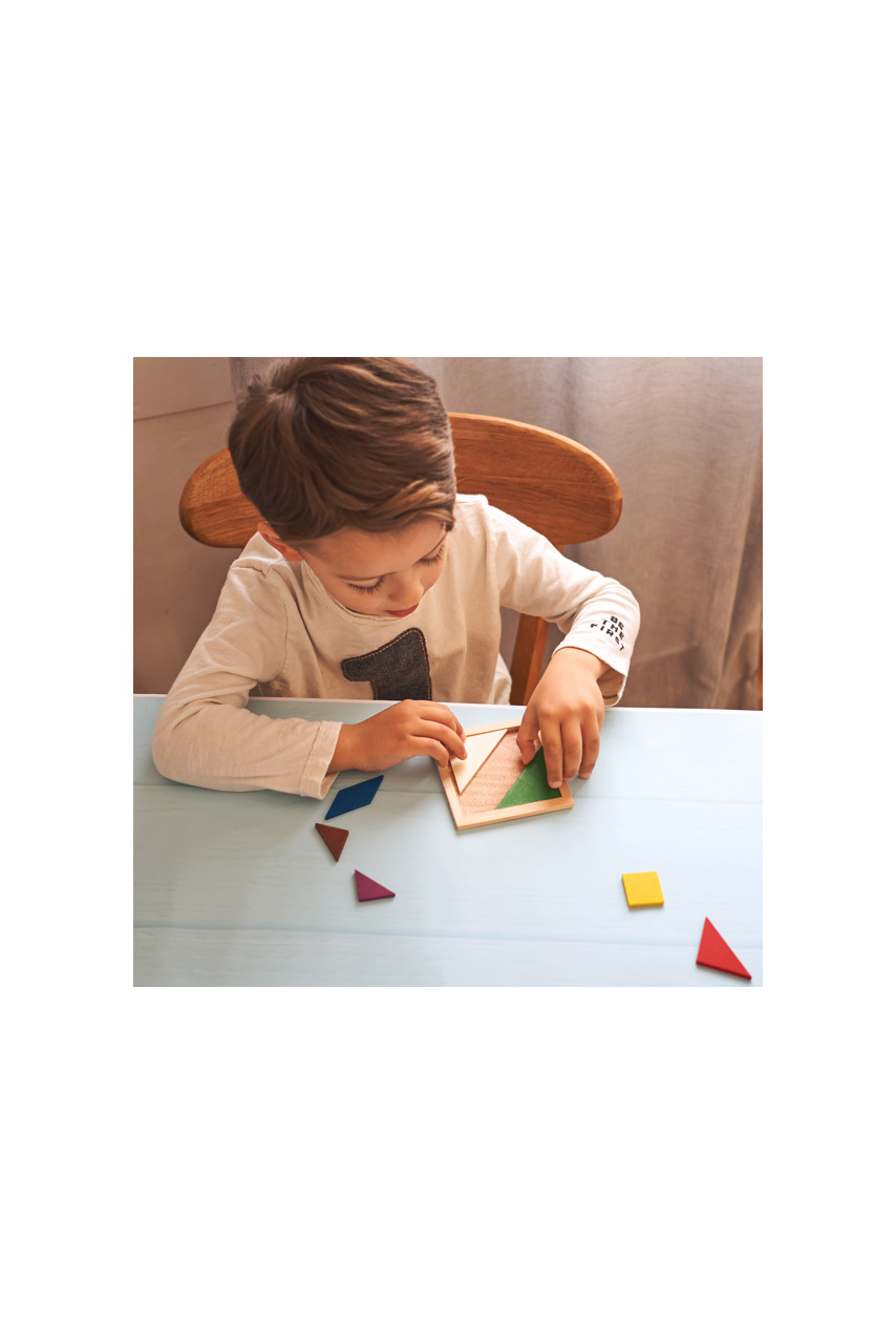 Colorful Wooden Tangram Puzzle for Skill Development