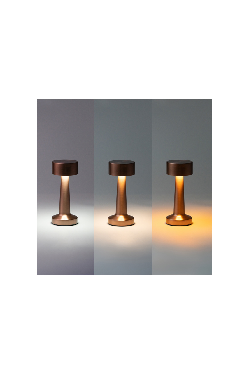 Reiki Touch Control LED Lamp - Adjustable Light Modes