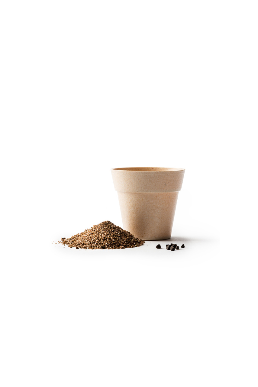 Biodegradable Petunia Flowerpot Set