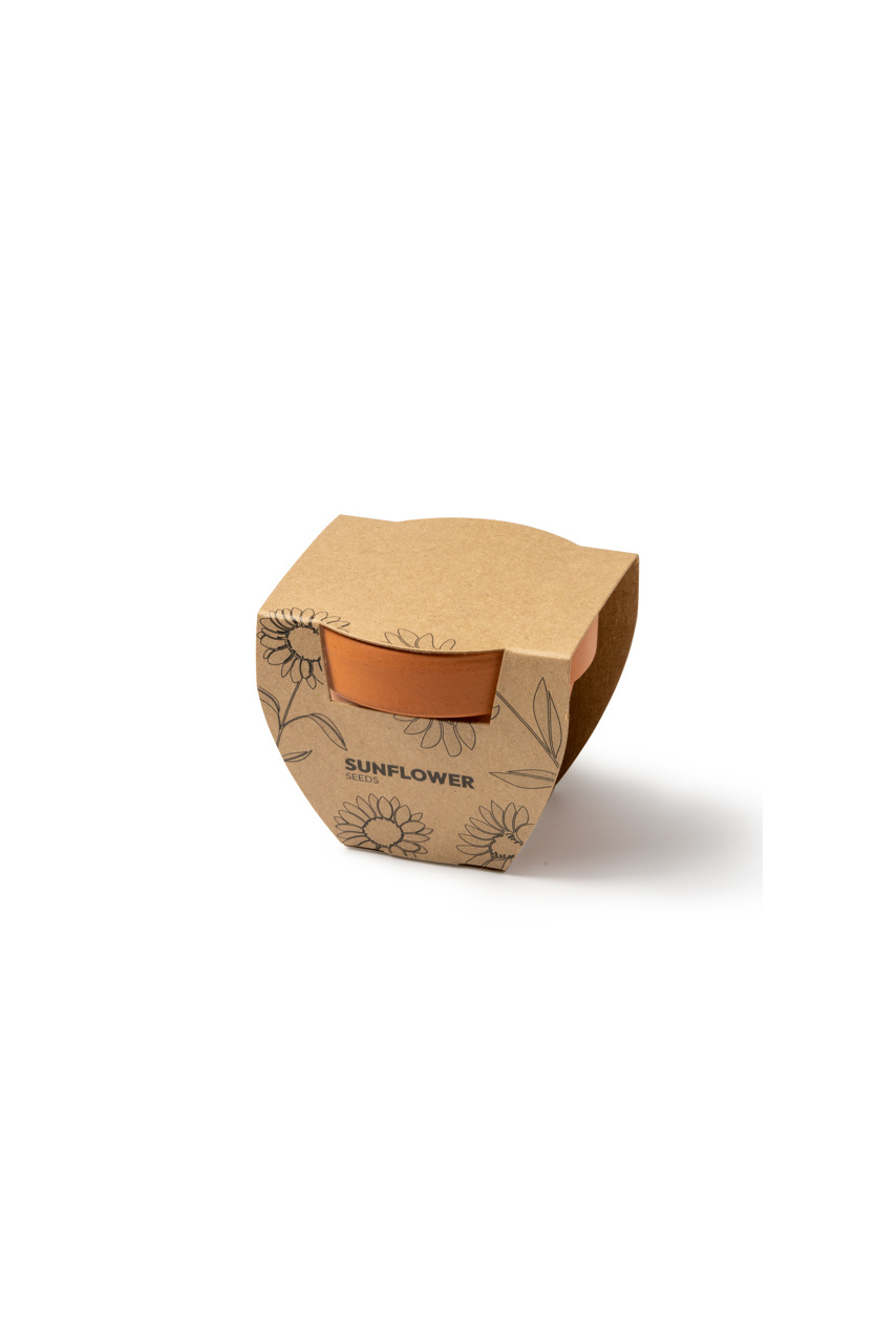 Ghiveci Terracotta cu Semințe de Floarea-Soarelui