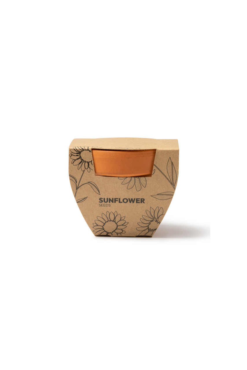 Terracotta Sunflower Seed Starter Kit