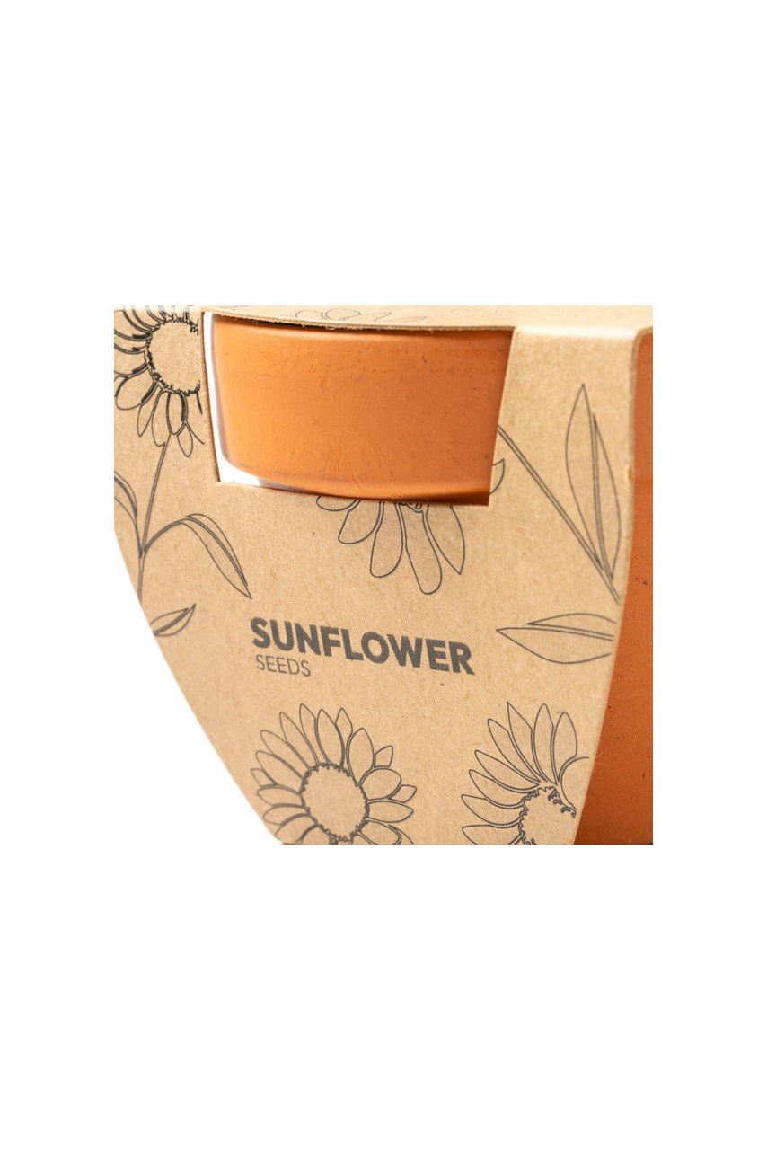 Terracotta Sunflower Seed Starter Kit