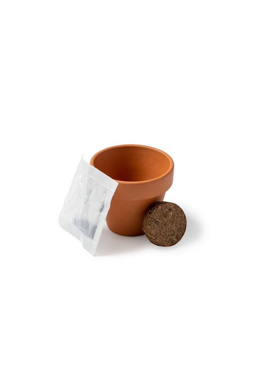 Terracotta Sunflower Seed Starter Kit