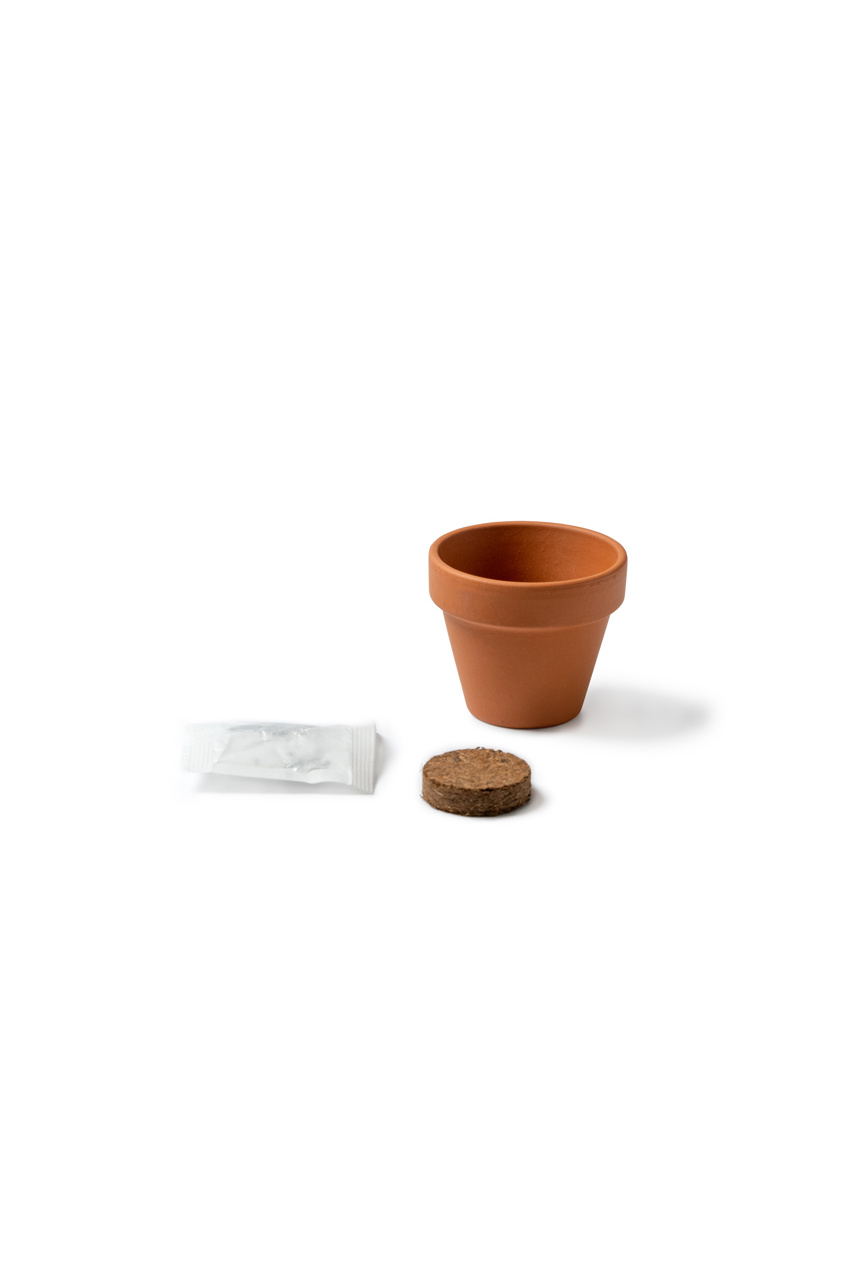 Terracotta Sunflower Seed Starter Kit