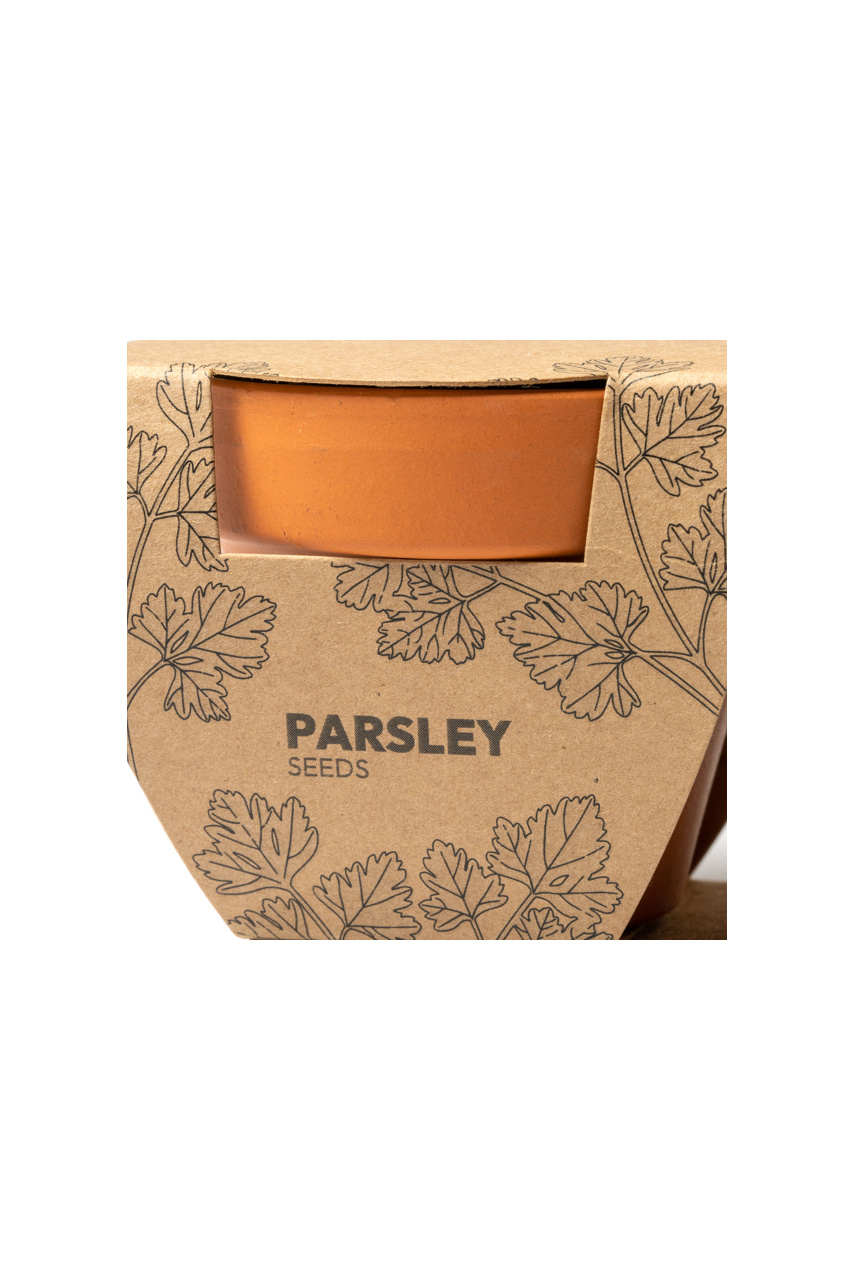 Herb Garden Starter Kit: Parsley & Basil