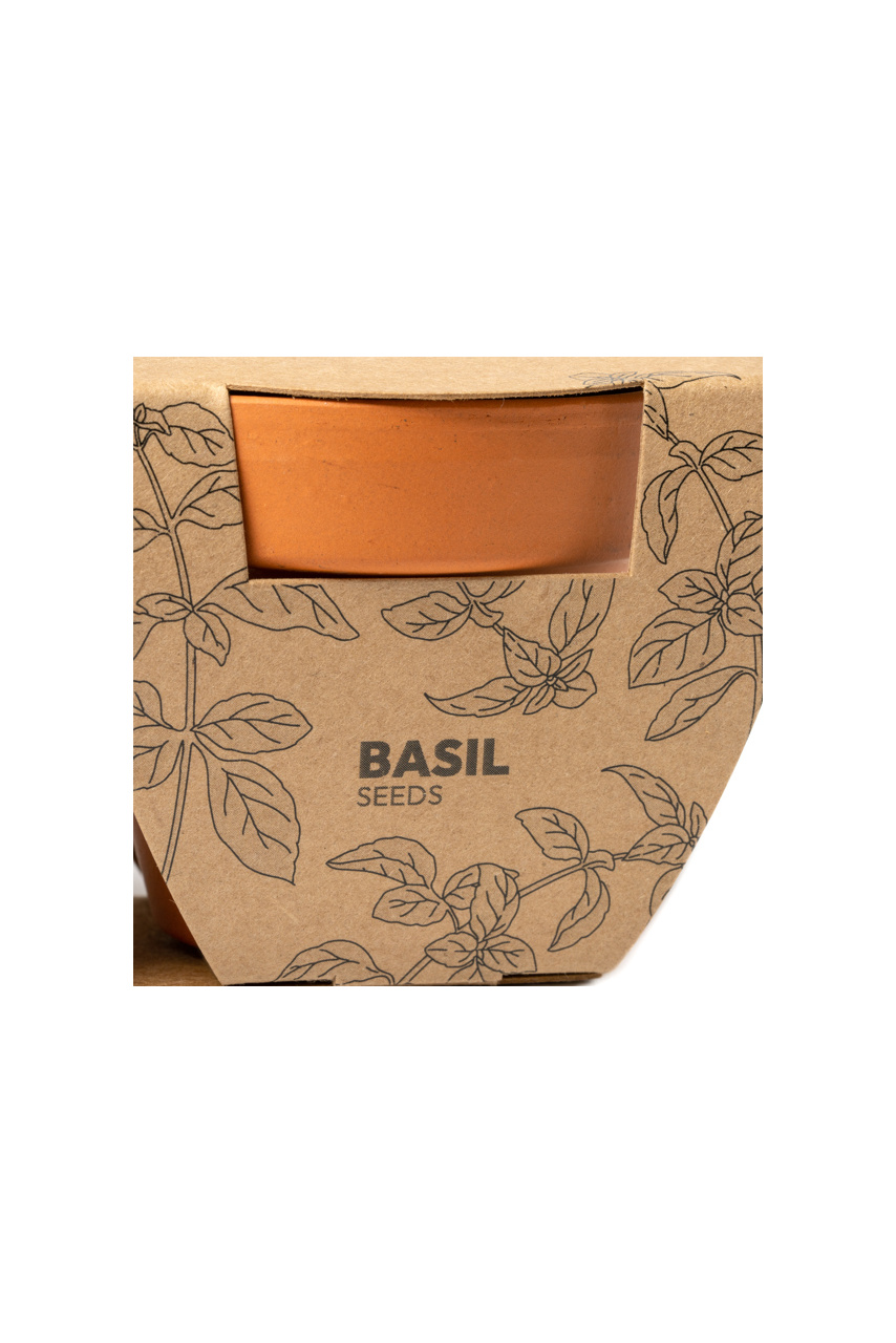 Herb Garden Starter Kit: Parsley & Basil