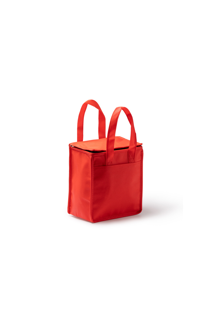 ALAPA Non-Woven Cooler Bag - Large Capacity