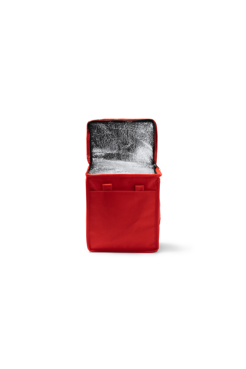 ALAPA Non-Woven Cooler Bag - Large Capacity