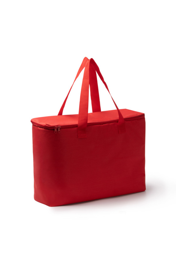ANKOR Family-Sized Cooler Bag 25L