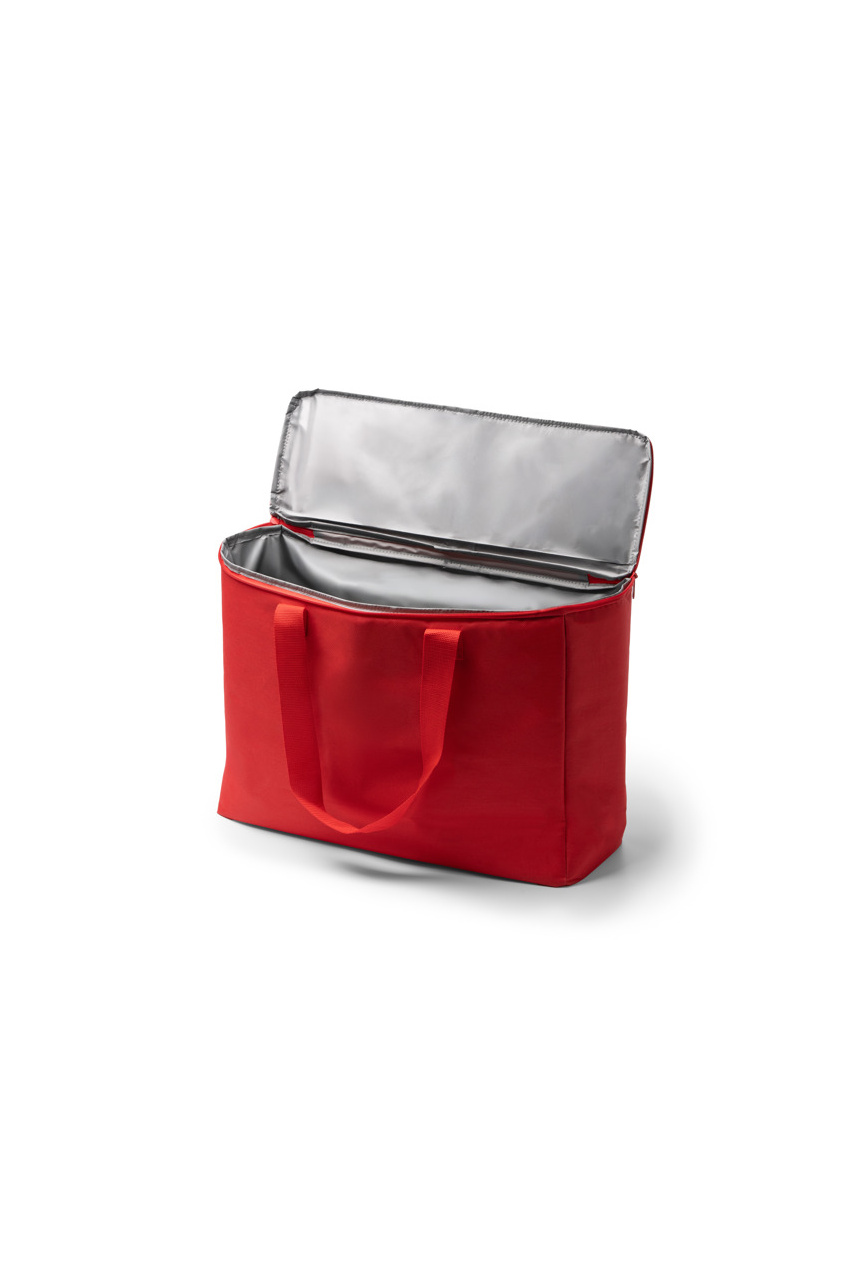ANKOR Family-Sized Cooler Bag 25L