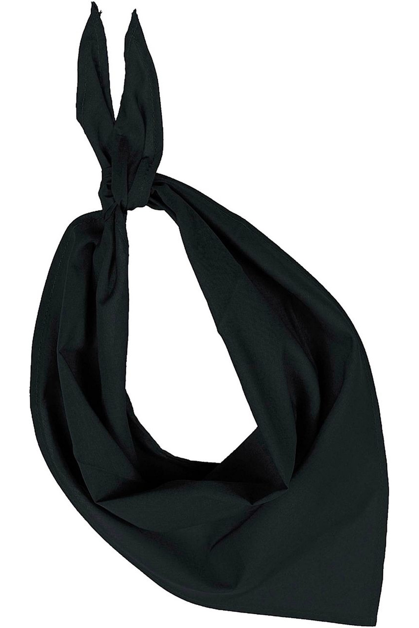 Fiesta Bandana - Stylish and Versatile Accessory